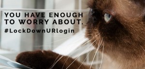 lock-login-cat-slider