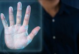 Palm vein biometrics